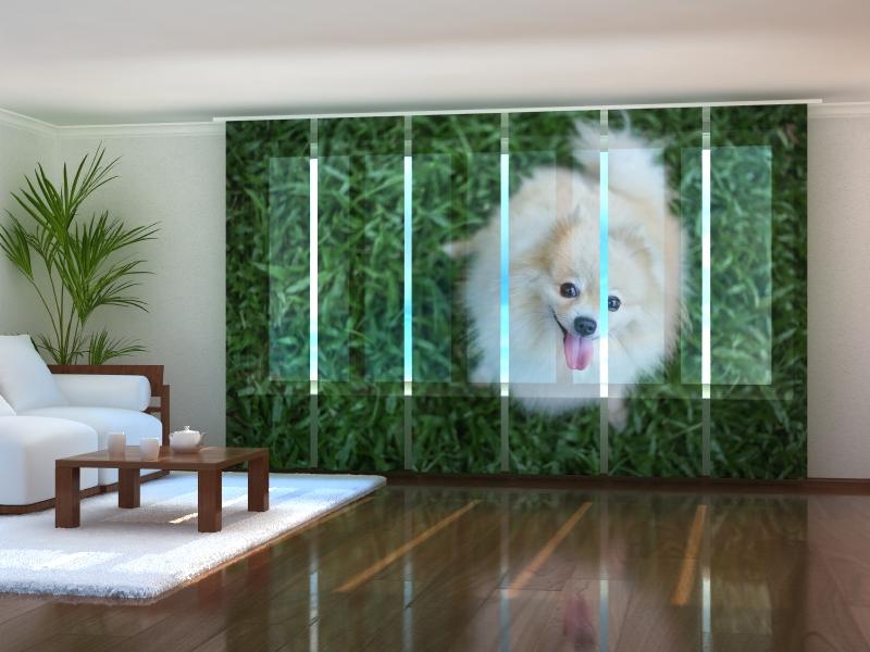 Paneļu aizkari (6 daļas) Happy Pomeranian Dog Wellmira