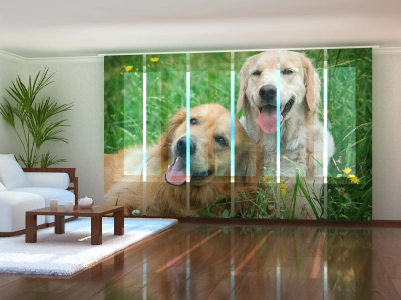 Paneļu aizkari (6 daļas) Labradors Retrievers in the Meadow Wellmira