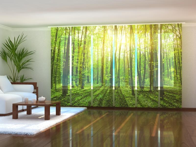 Paneļu aizkari (6 daļas) Sun Rays 2 Screen / 140 / 40 Wellmira
