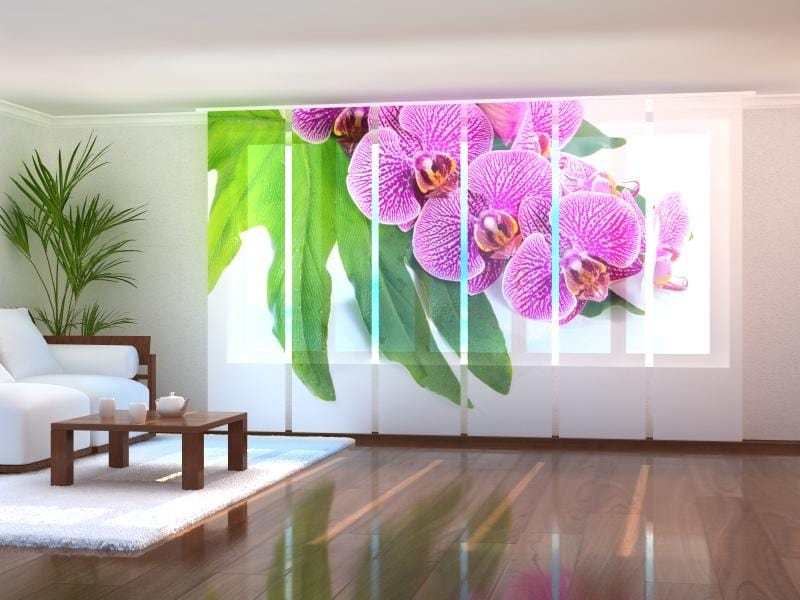 Paneļu aizkari (6 daļas) Violet Orchid on a Green Leaf Home Trends