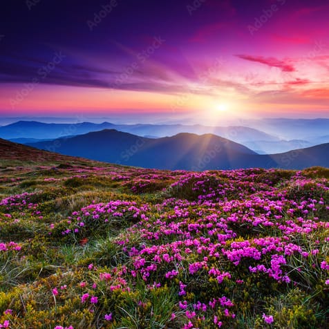 Photomural test-280526 100x100 / Non-woven Doboxa