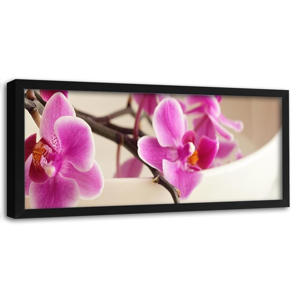 Picture in black frame PANORAMA, Pink Orchid  Home Trends