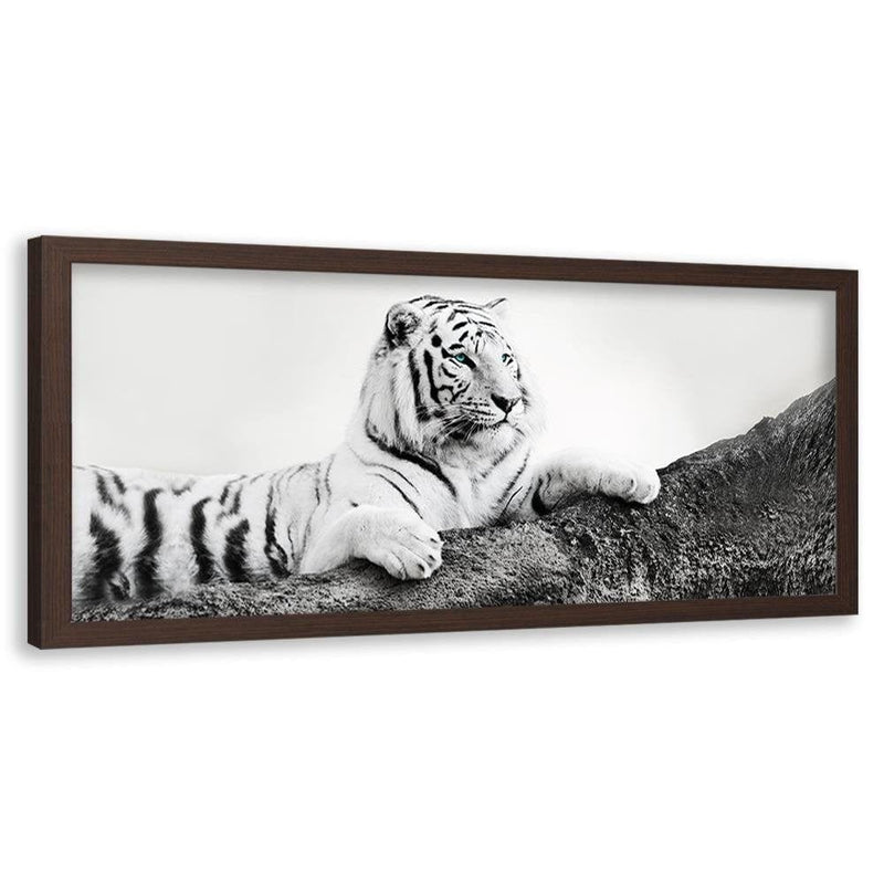 Picture in brown frame PANORAMA, The Vigilant Tiger  Home Trends