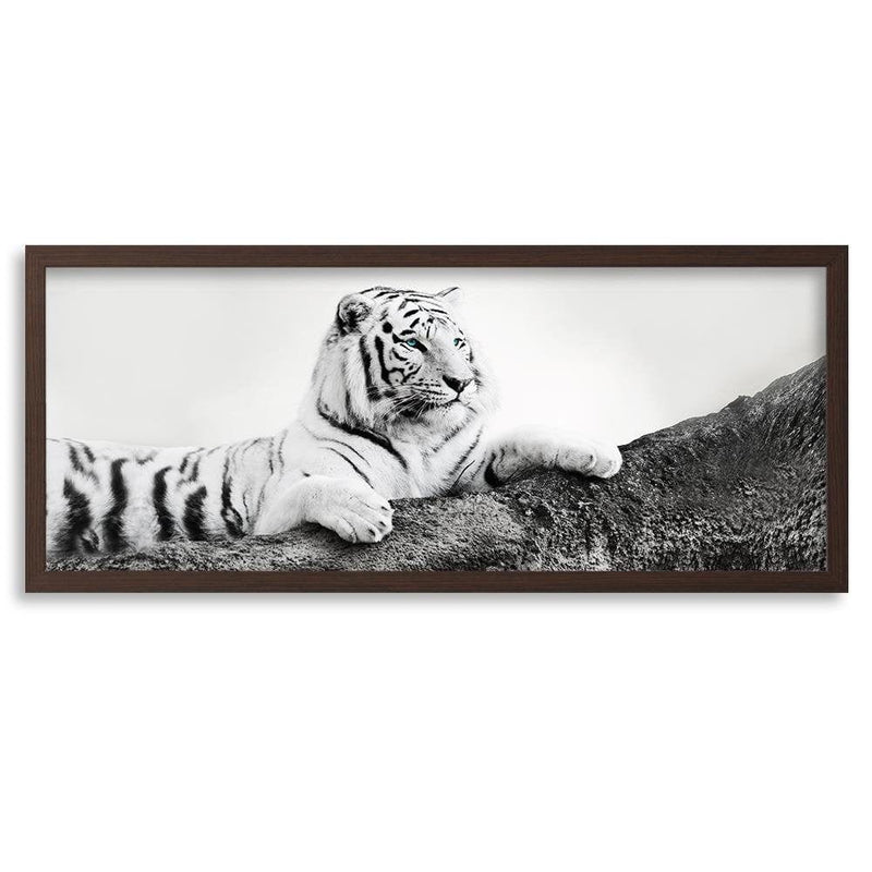 Picture in brown frame PANORAMA, The Vigilant Tiger  Home Trends