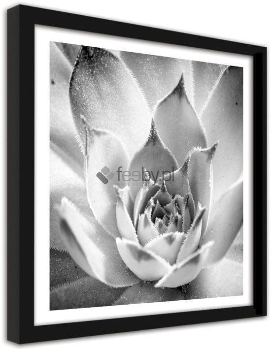Picture in frame ZERO, A frosted flower  Home Trends