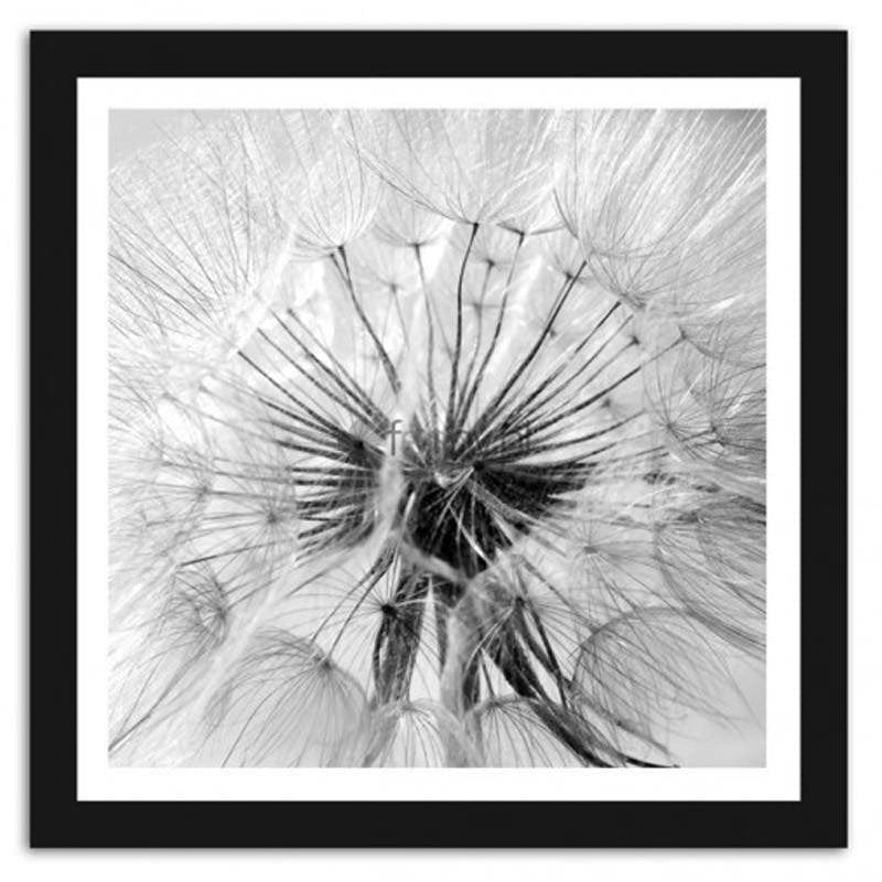 Picture in frame ZERO, Blower 2  Home Trends