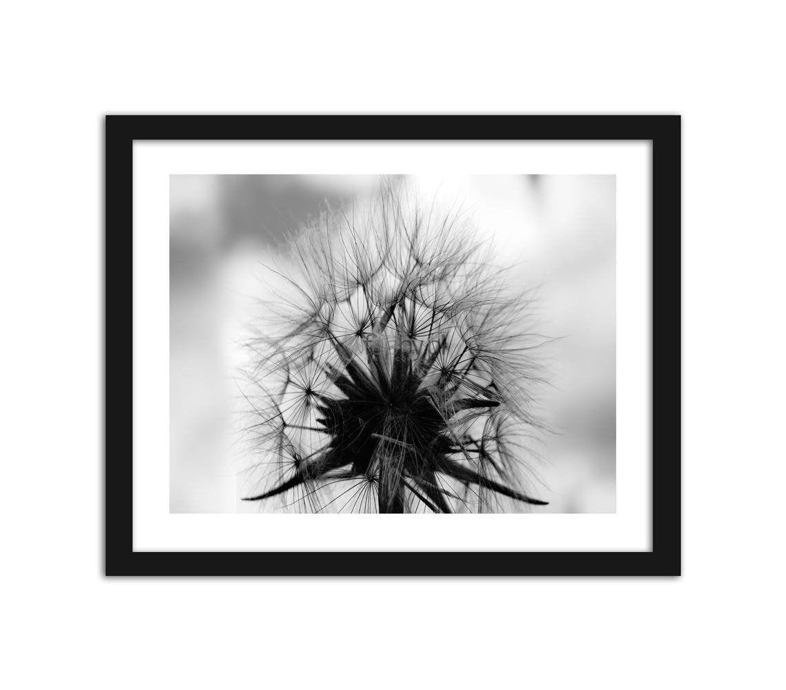 Picture in frame ZERO, Blower  Home Trends