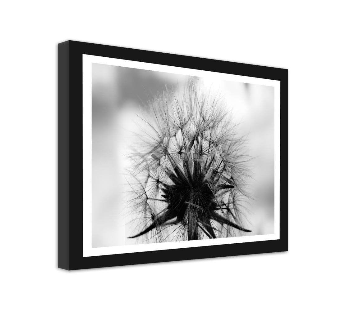 Picture in frame ZERO, Blower  Home Trends