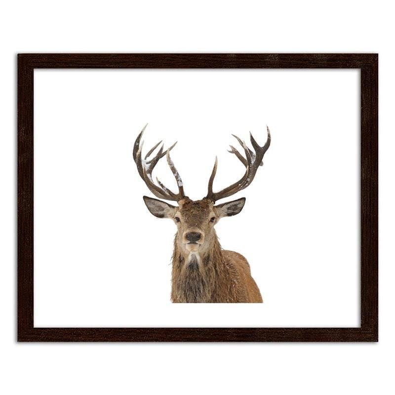 Picture in frame ZERO, Deer head  Home Trends