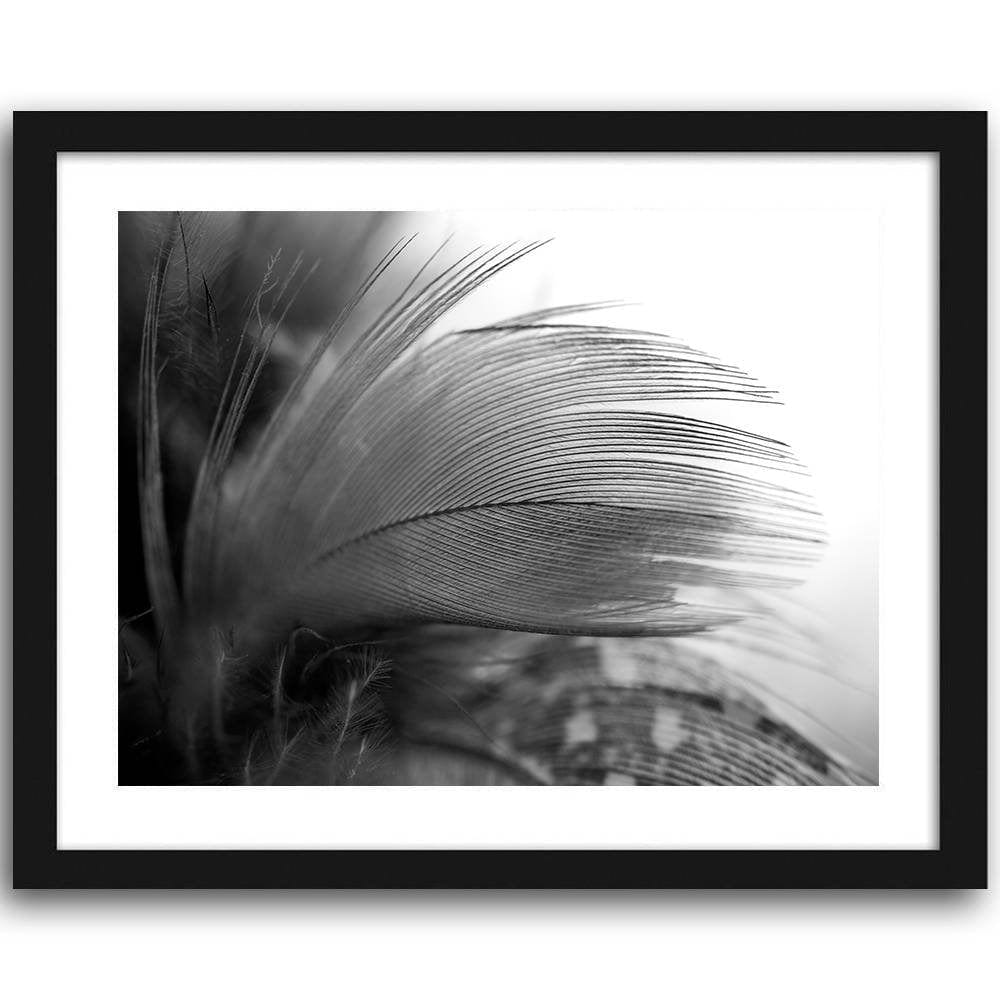 Picture in frame ZERO, Feather  Home Trends