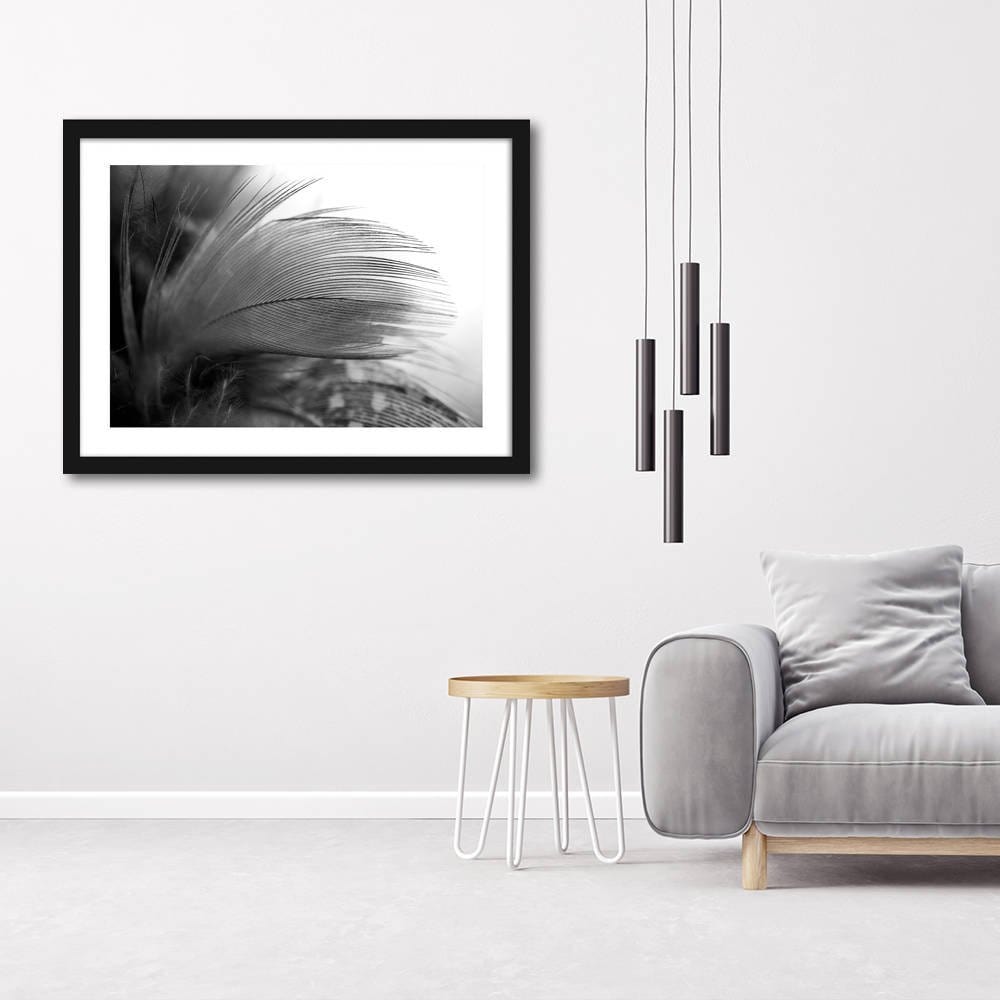 Picture in frame ZERO, Feather  Home Trends