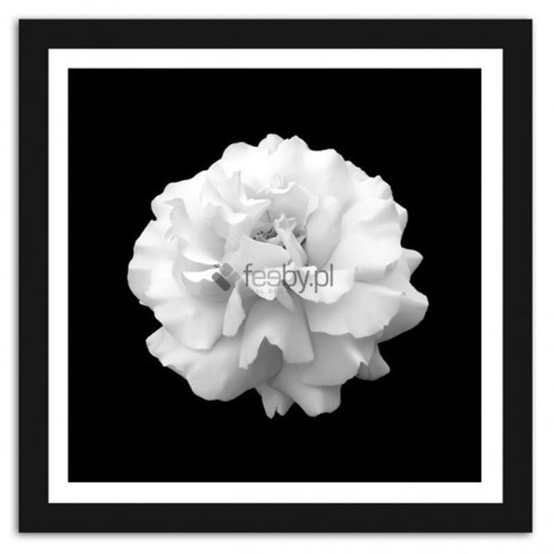Picture in frame ZERO, Flower  Home Trends