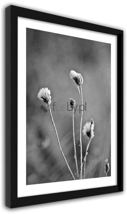 Picture in frame ZERO, Frost on the plants  Home Trends