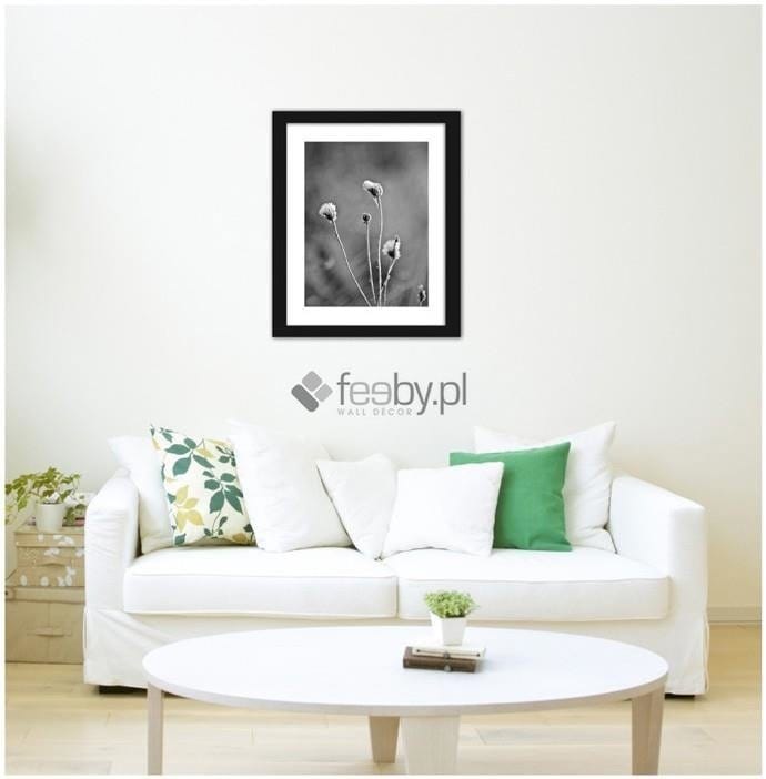 Picture in frame ZERO, Frost on the plants  Home Trends
