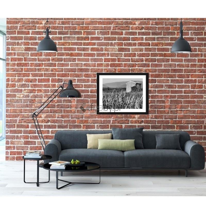 Picture in frame ZERO, Growing lavender  Home Trends