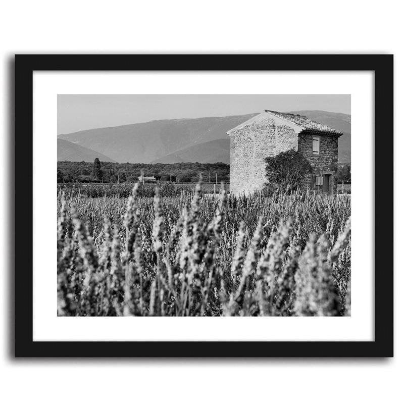 Picture in frame ZERO, Growing lavender  Home Trends