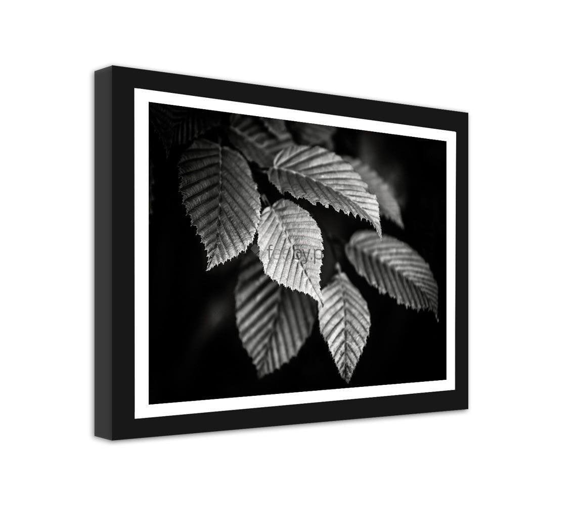 Picture in frame ZERO, Leaves  Home Trends