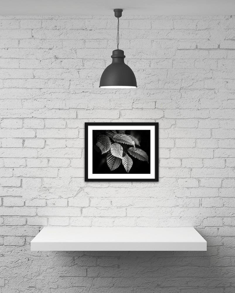 Picture in frame ZERO, Leaves  Home Trends