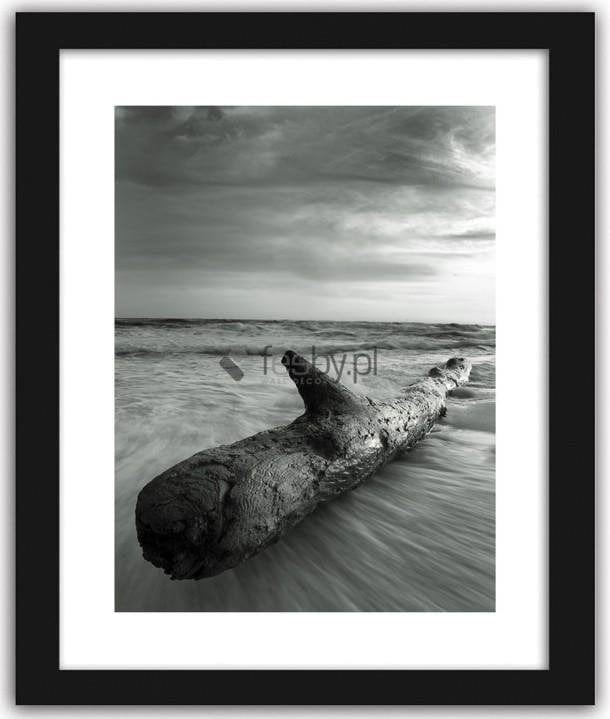 Picture in frame ZERO, Log of wood  Home Trends