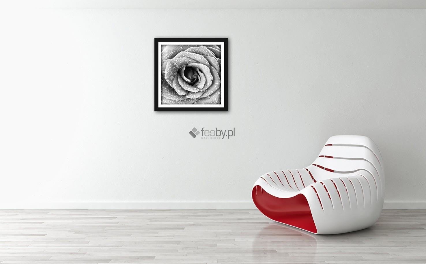 Picture in frame ZERO, Rose in dew black and white  Home Trends