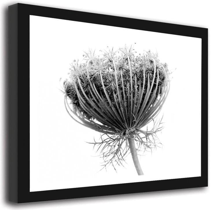Picture in frame ZERO, Sosnowski's borscht  Home Trends