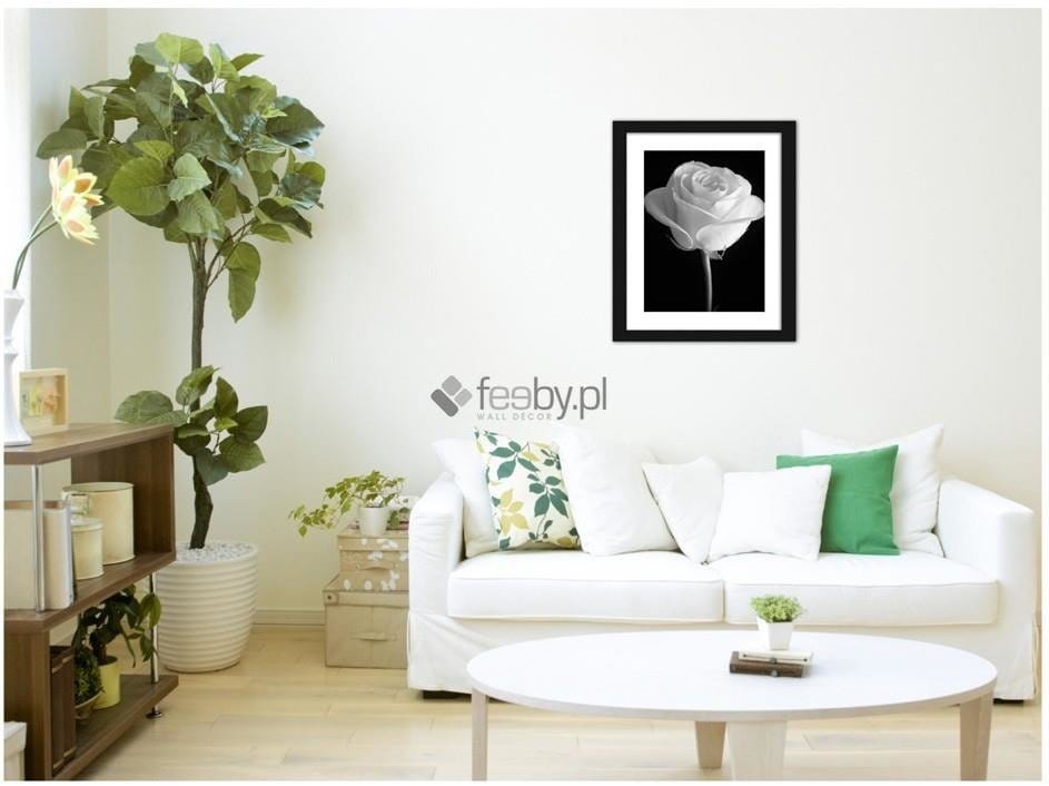 Picture in frame ZERO, The flower of the white rose  Home Trends