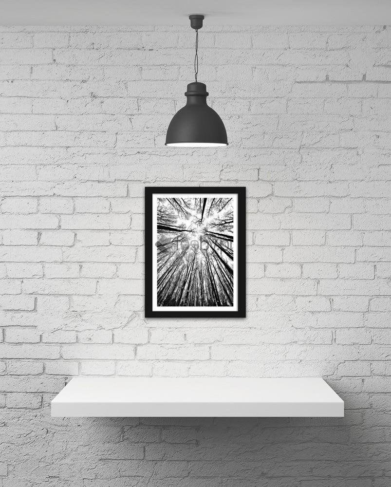 Picture in frame ZERO, The forest  Home Trends