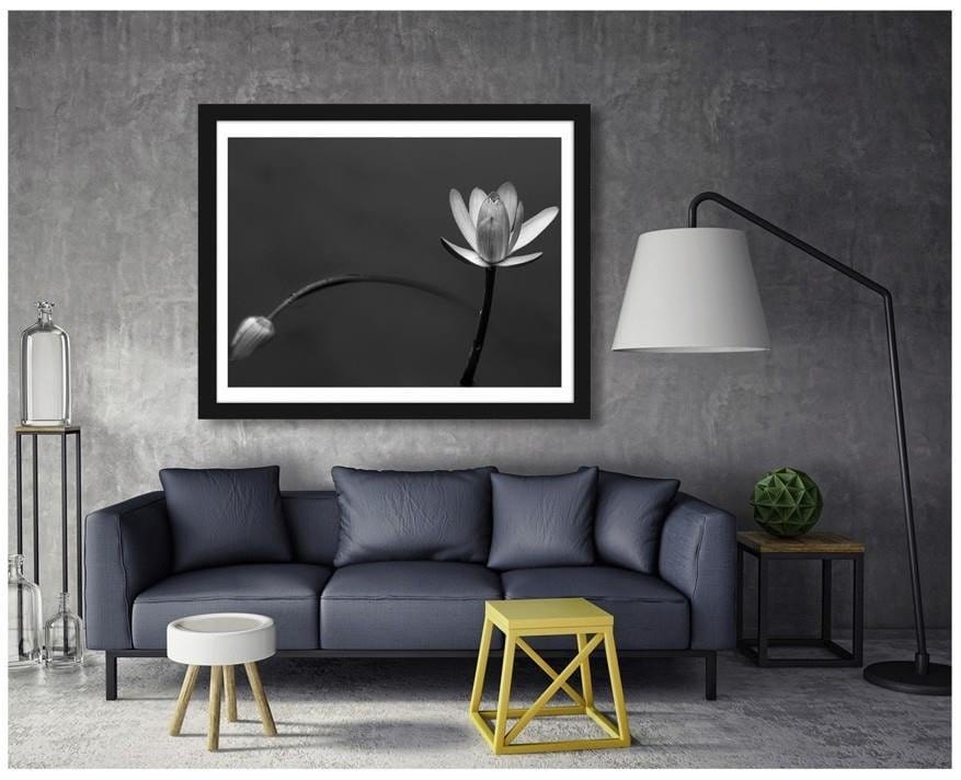 Picture in frame ZERO, White flower 2  Home Trends