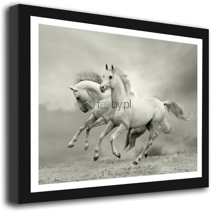 Picture in frame ZERO, White horses  Home Trends