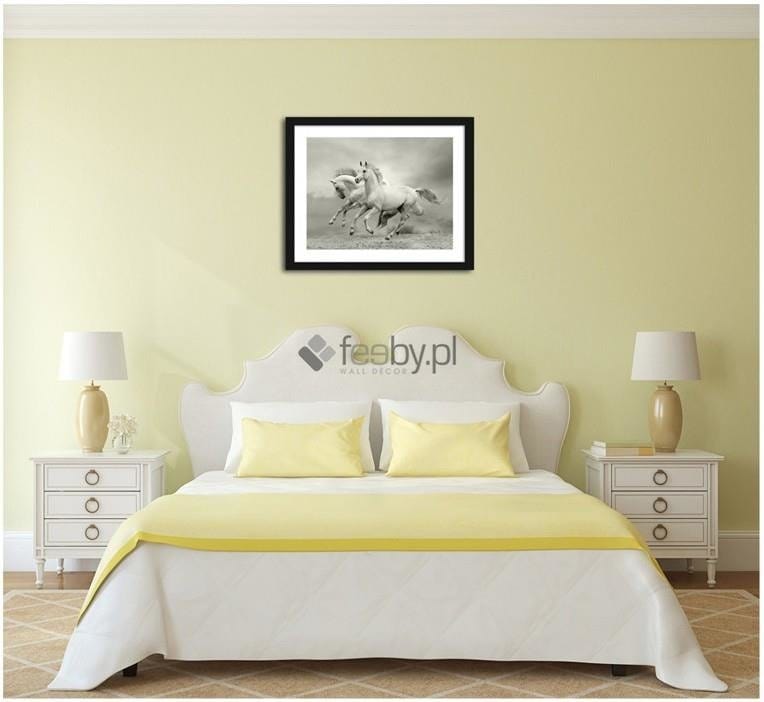 Picture in frame ZERO, White horses  Home Trends