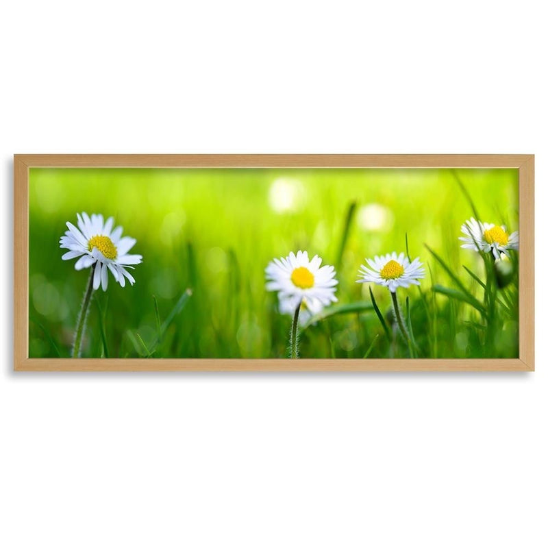 Picture in natural frame PANORAMA, Daisy Flower  Home Trends