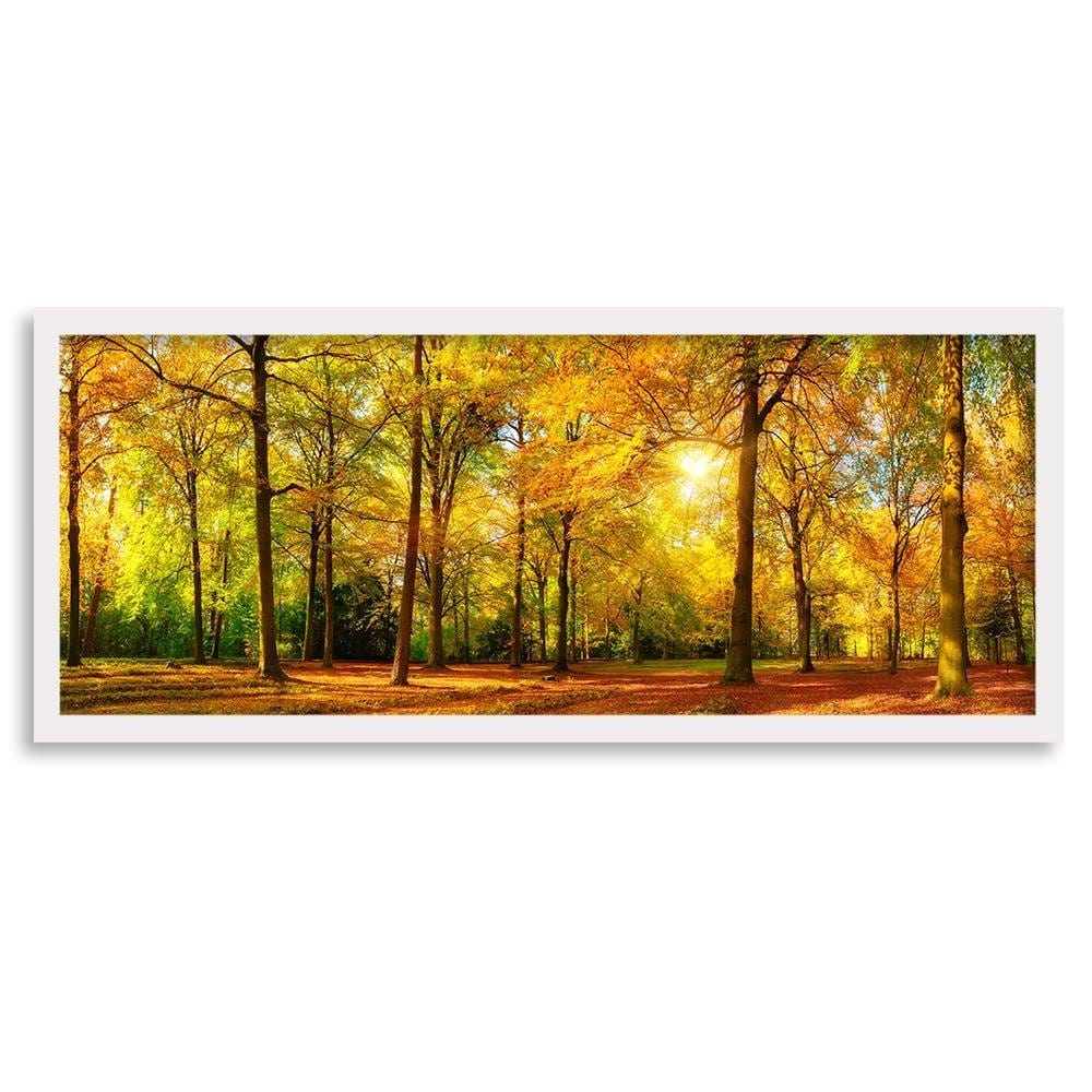 Picture in white frame PANORAMA, Golden Forest  Home Trends