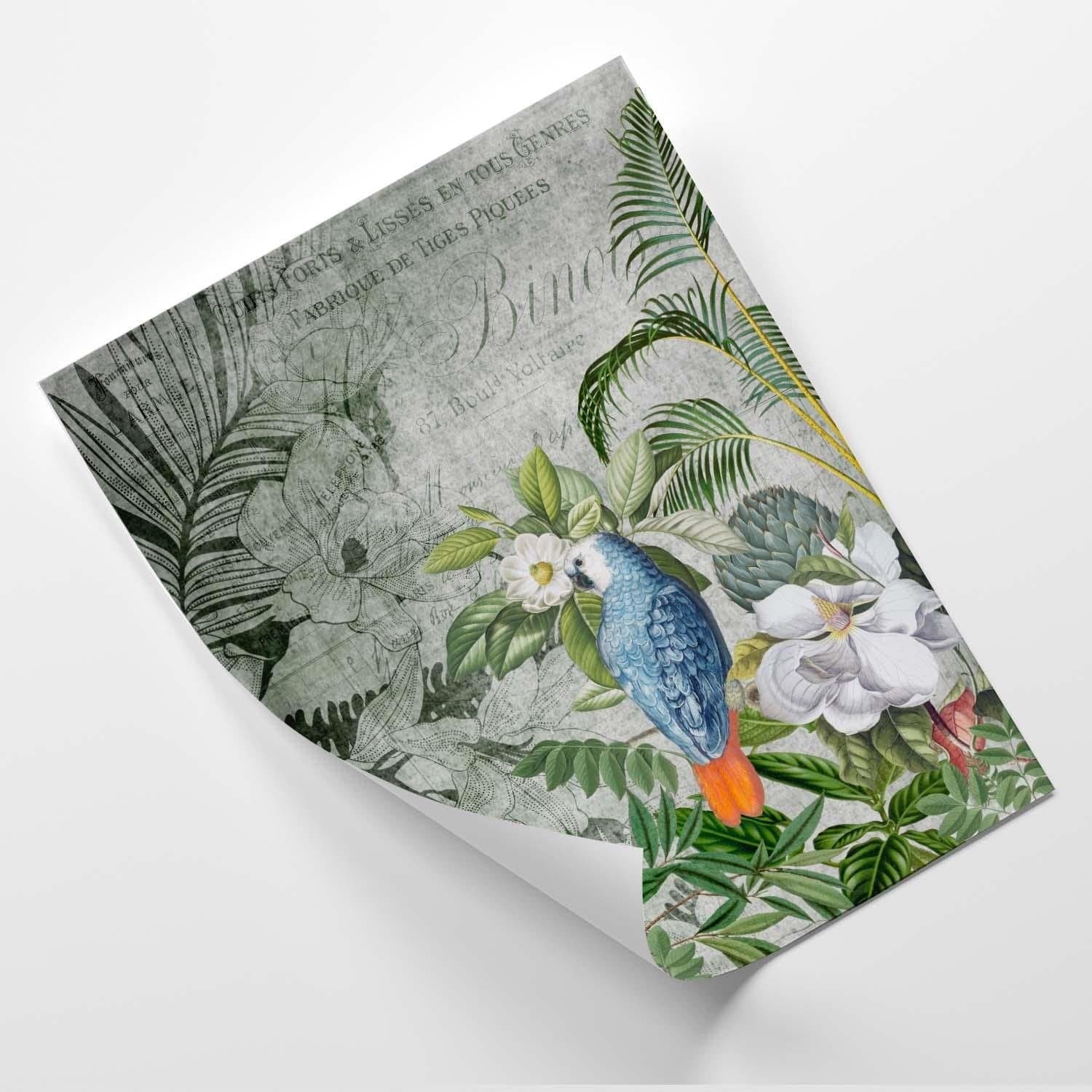 Posteris - Blue Parrot  E-interjers.lv