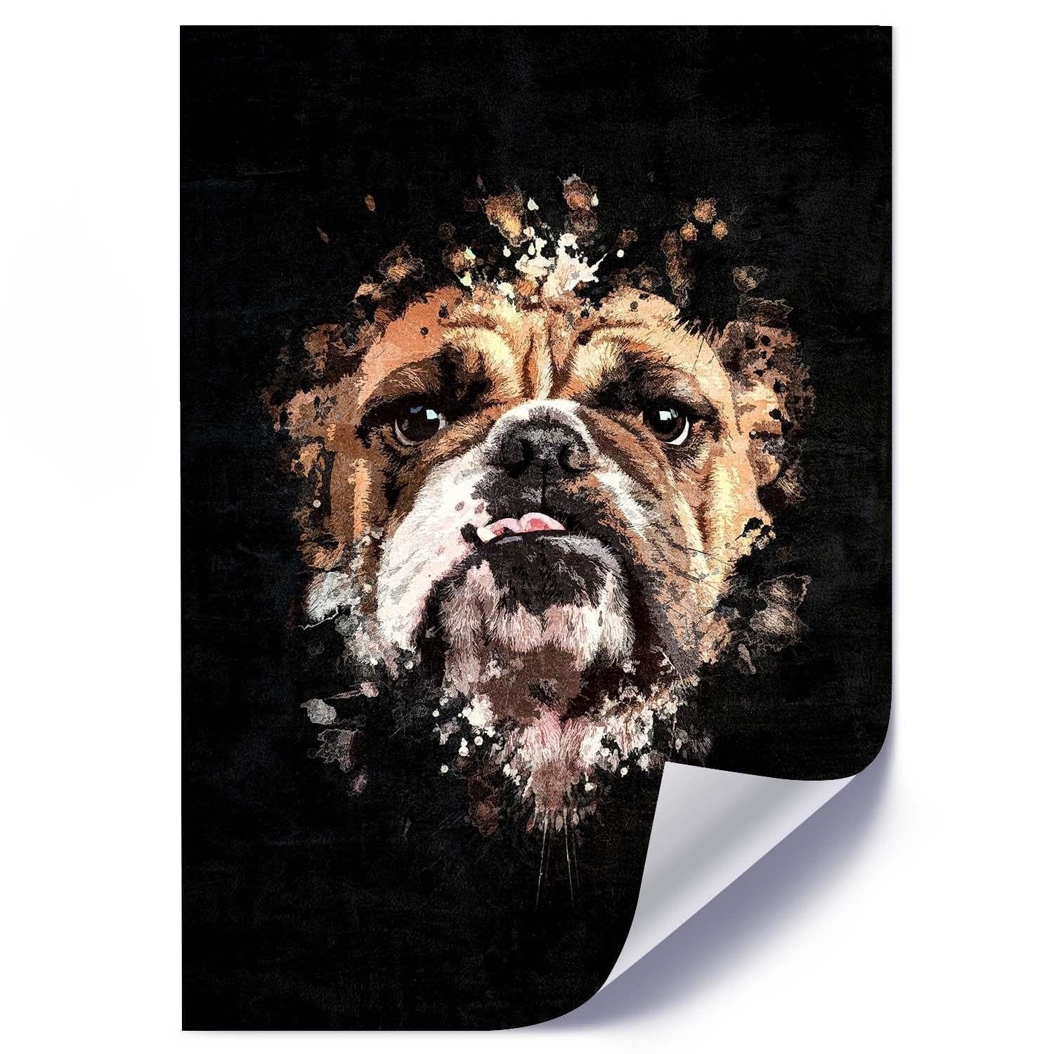Posteris - English Bulldog  E-interjers.lv
