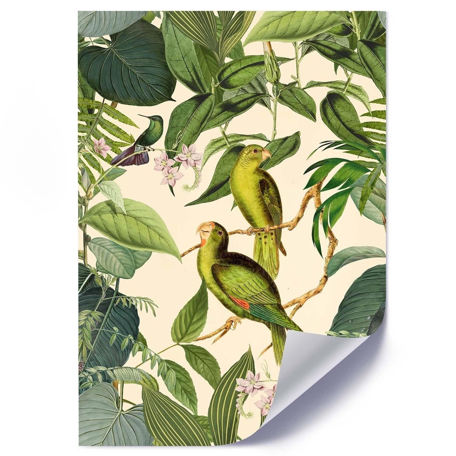 Posteris - Exotic Birds  E-interjers.lv