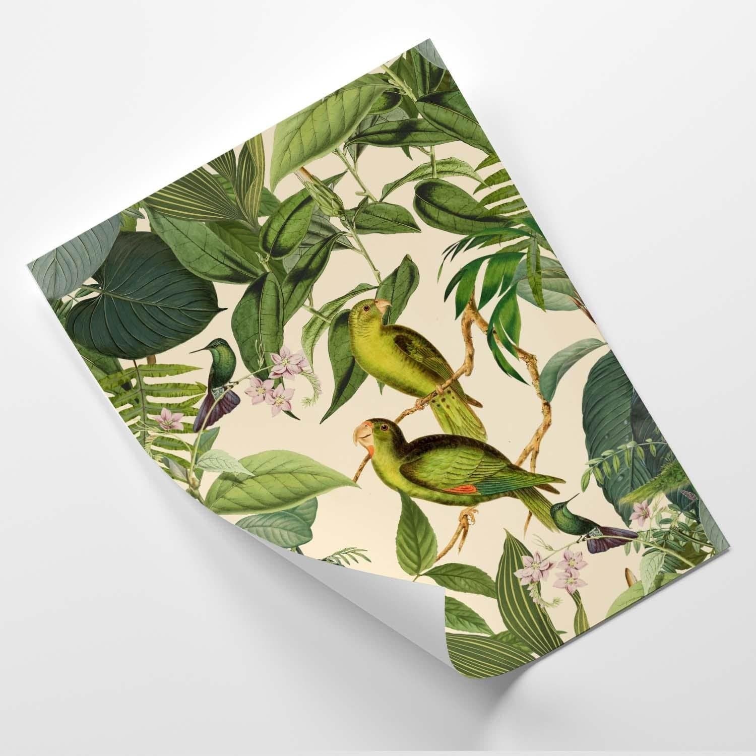 Posteris - Exotic Birds  E-interjers.lv