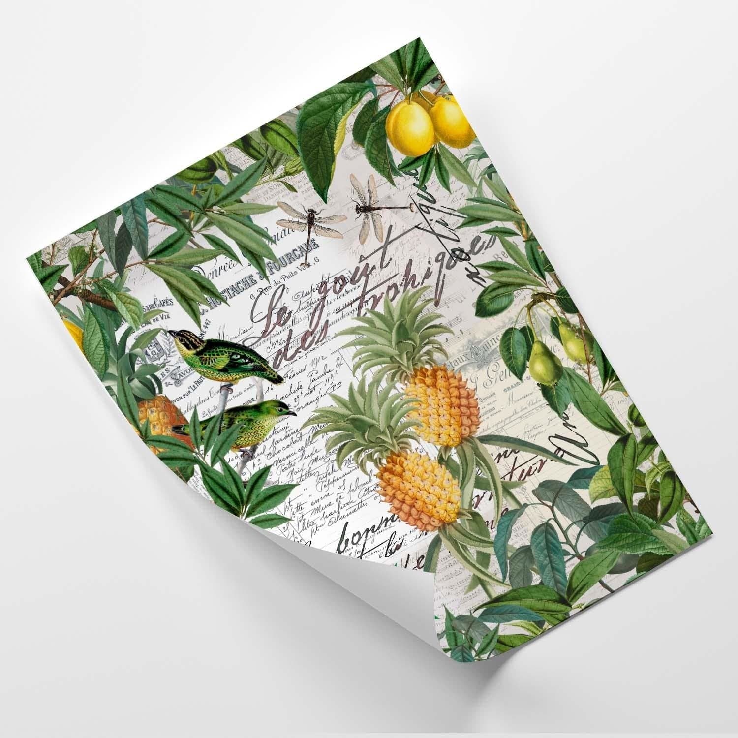 Posteris - Exoticism  E-interjers.lv