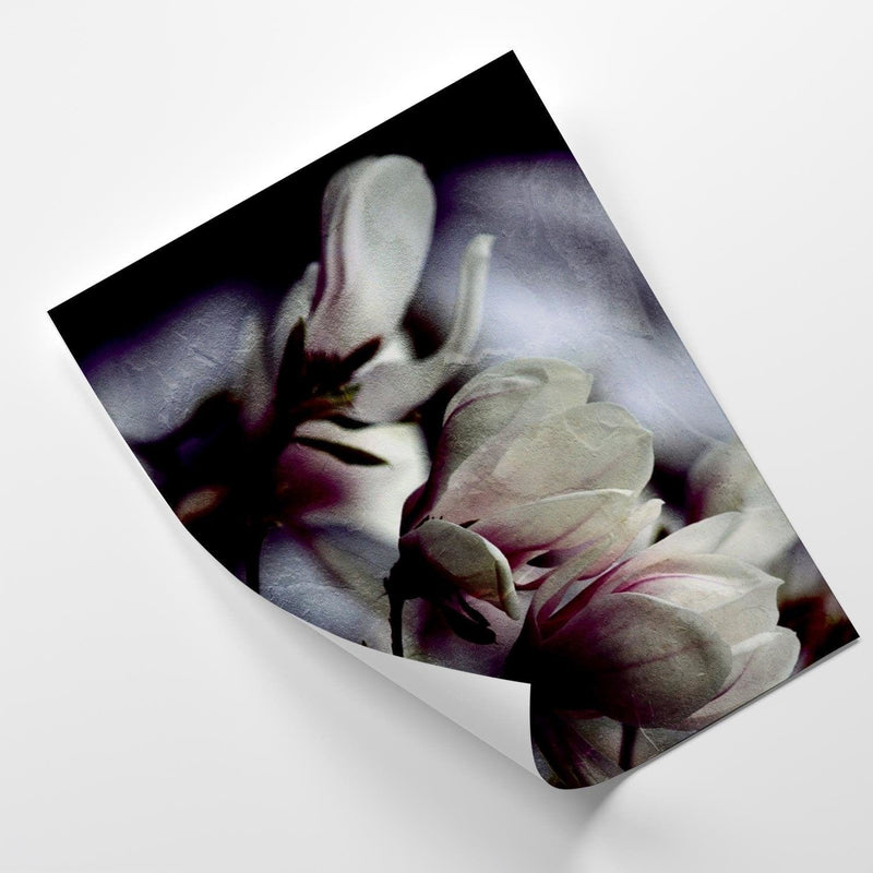 Posteris (plakāts) - Magnolia Buds  Home Trends DECO