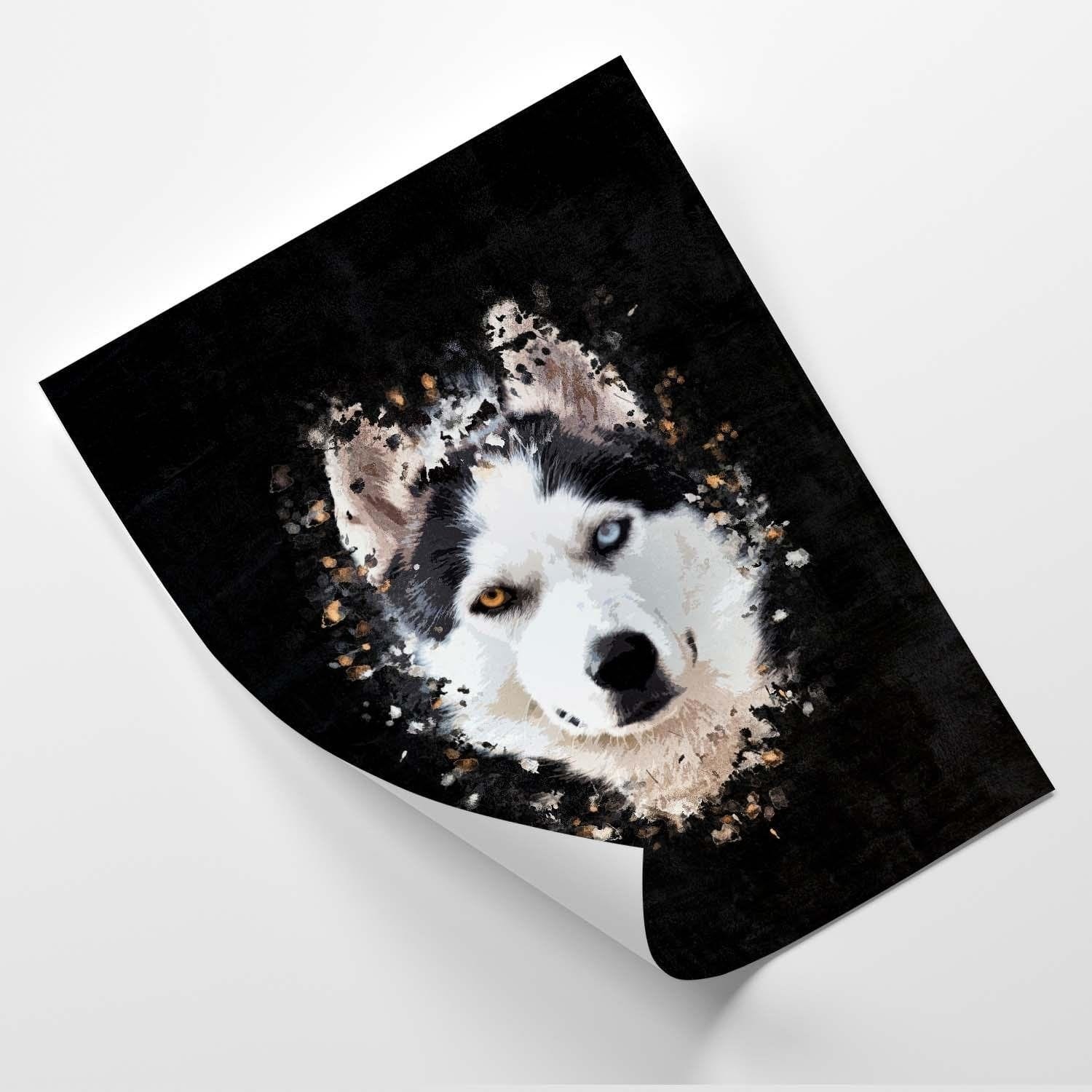 Posteris - Siberian Husky  E-interjers.lv