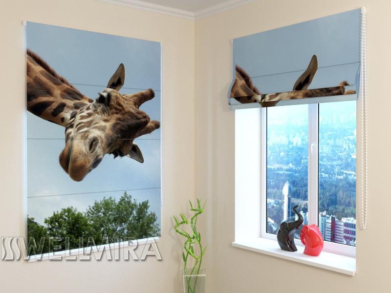 Romiešu žalūzijas Giraffe BLACKOUT / 40 / 50 E-interjers.lv