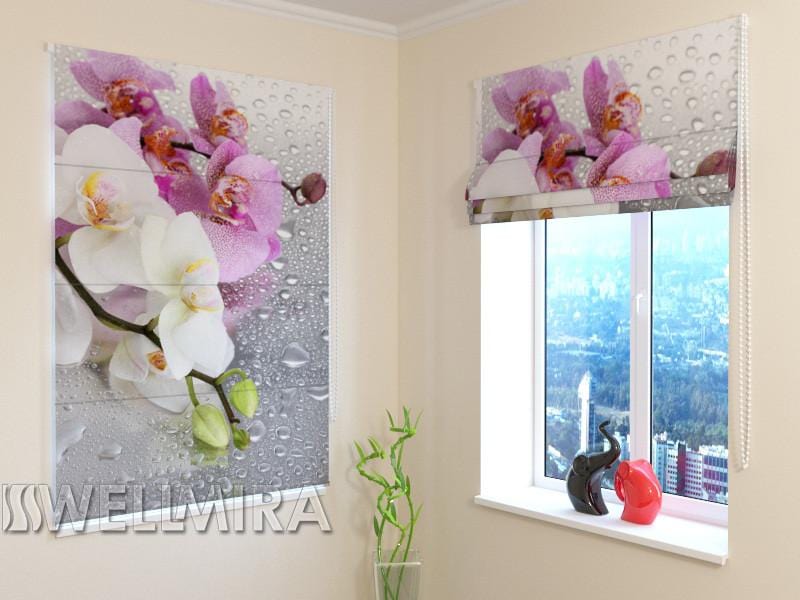 Romiešu žalūzijas Orchids and Rain BLACKOUT / 40 / 50 E-interjers.lv