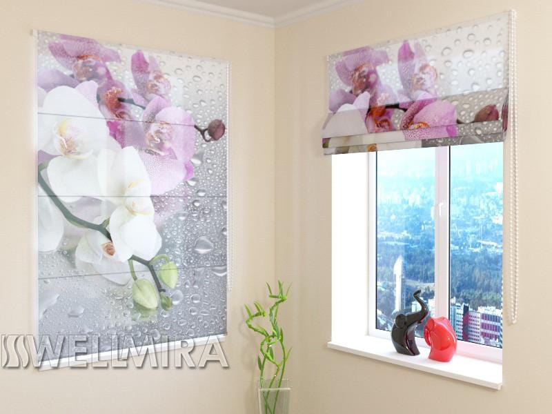 Romiešu žalūzijas Orchids and Rain SCREEN / 40 / 50 E-interjers.lv