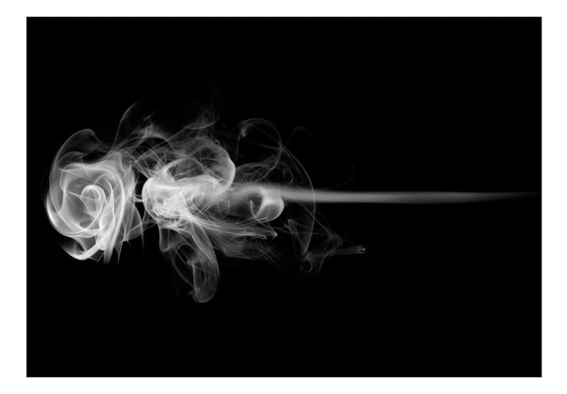 Fototapetes - Roze (dūmi)