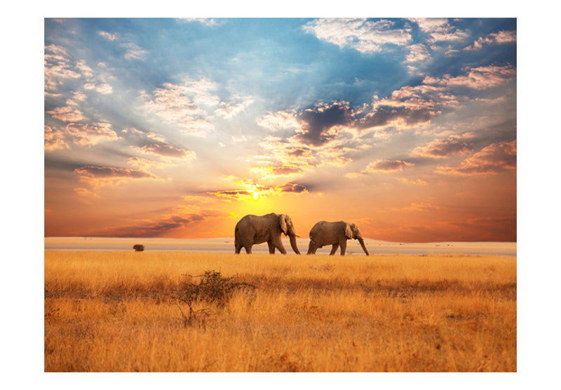 Fototapetes - Āfrikas savannas ziloņi