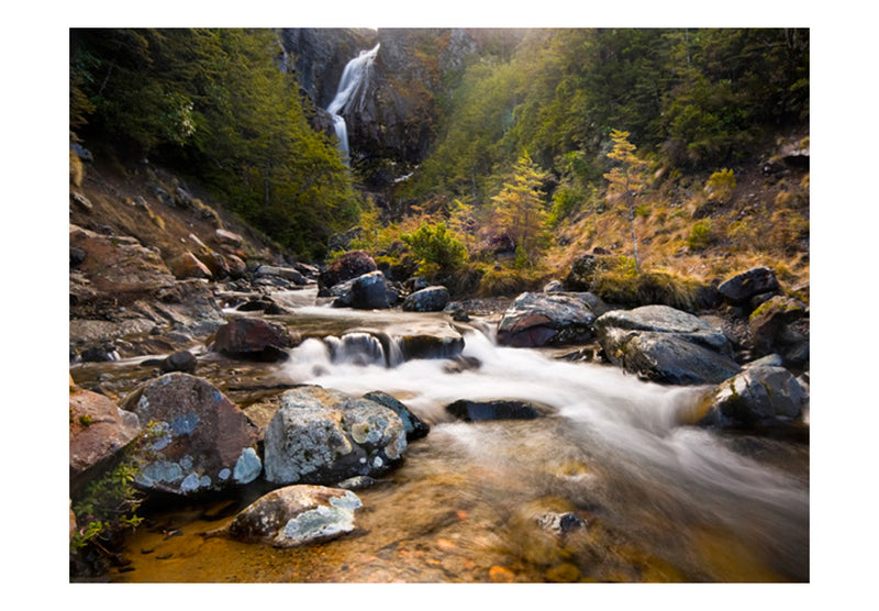Fototapetes ar mežu - Ohakune - ūdenskritumi Jaunzēlandē
