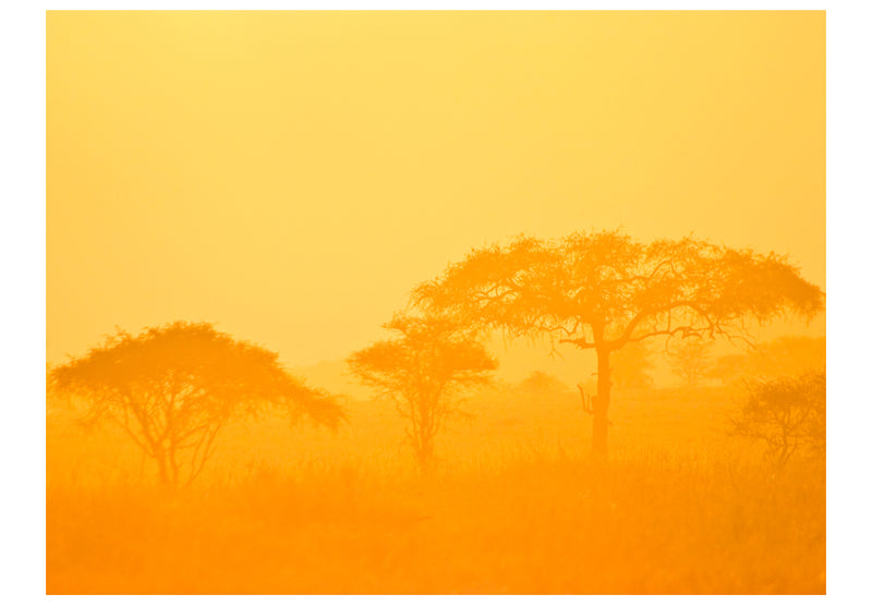 Fototapetes - Oranžā savanna