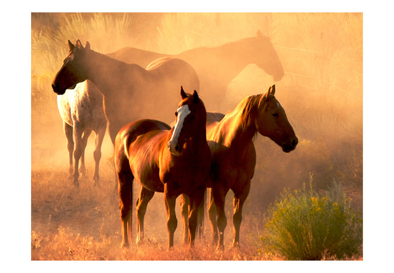 Fototapetes - Stepes savvaļas zirgi
