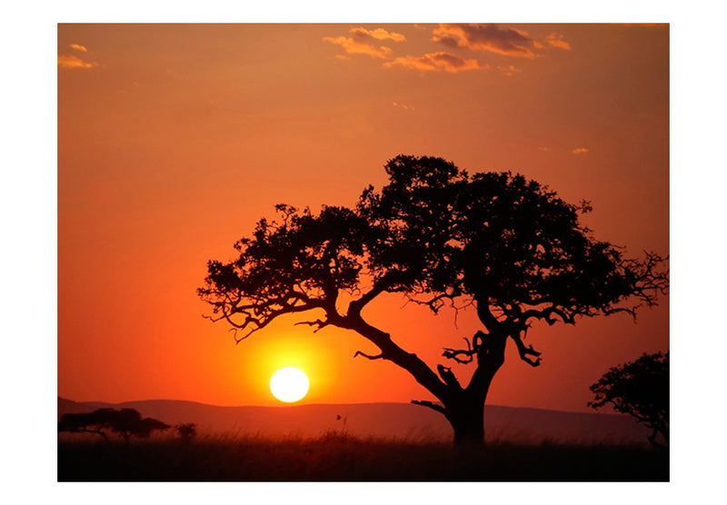 Fototapetes - Āfrikas saulriets
