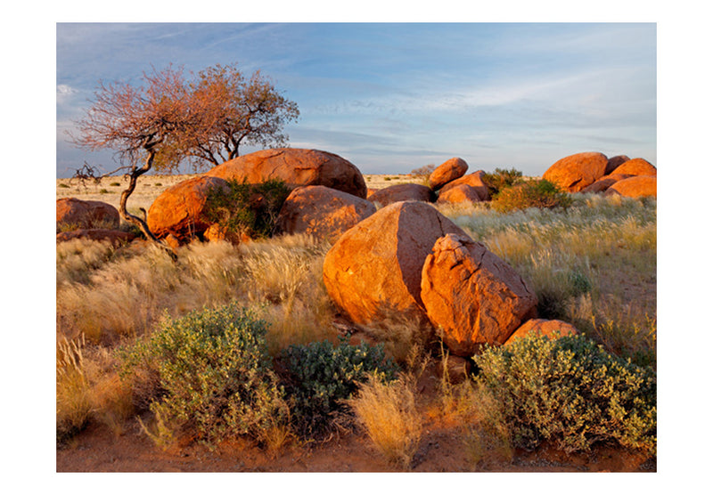 Fototapetes - Āfrikas ainava, Namībija