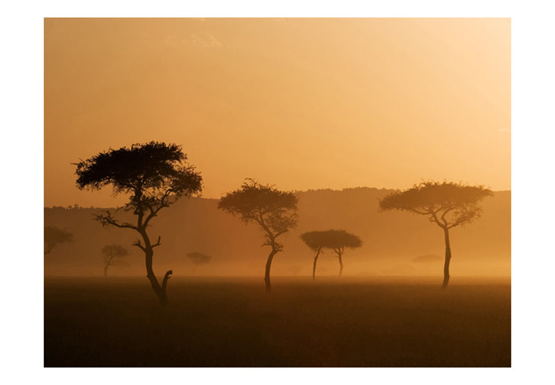 Fototapetes - Massai Mara